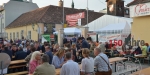 2015.05.29 - Feuerwehrfest Freiw. Feuerwehr Baden-Stadt - Tag 1
