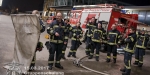 20170315 Gruppenschulung Brandlehre & Rohrführung  Foto: Stefan Schneider FF Baden-Stadt