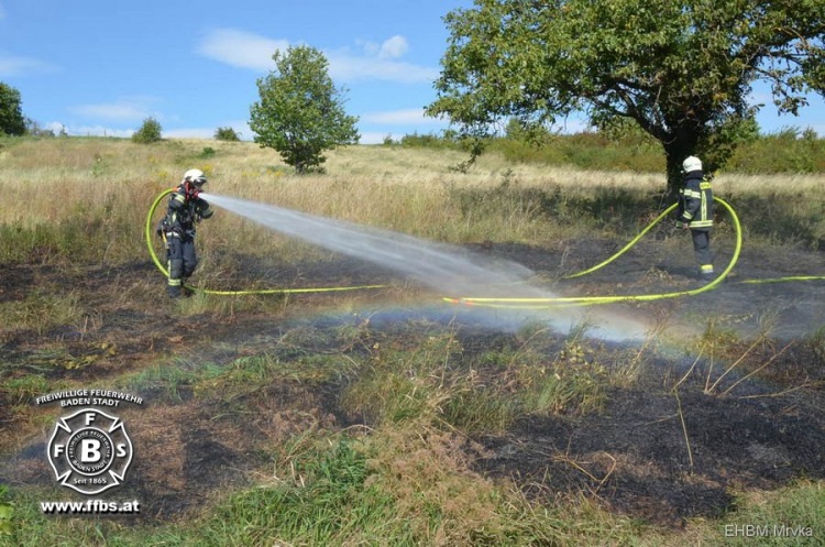 20170905 Flurbrand Martin Mayer Gasse in Baden Foto: Manfred Mrvka / FF Baden-Stadt