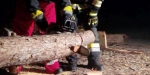 2017_10_11_Training_Trenn- und Schneidgeräte - Freiw. Feuerwehr Baden-Stadt / www.ffbs.at