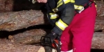 2017_10_11_Training_Trenn- und Schneidgeräte - Freiw. Feuerwehr Baden-Stadt / www.ffbs.at