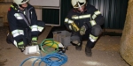 2018-10-18 technische Übung mit FF Siegenfeld_###