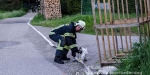 08.05.2014 - Löschwasserförderung über längere Strecken mit FF Siegenfeld