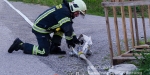 08.05.2014 - Löschwasserförderung über längere Strecken mit FF Siegenfeld