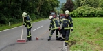 22.08.2014 - Fahrzeugbergung nach Überschlag B210