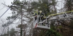 2015_01_11 Sturmeinsatz Welzergasse - Baum auf Versorgungsleitung