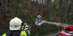 2015_01_11 Sturmeinsatz Welzergasse - Baum auf Versorgungsleitung