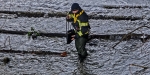 Handtaschenbergung aus dem Schwechatfluss