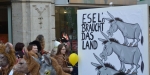 Badener Faschingsumzug - 17.02.2015 - www.ffbs.at