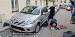 Tierrettung in Baden  Foto: FF Baden-Stadt / Fritz Beichbuchner