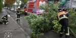 2017-08-10 - Impressionen Unwettereinsätze - Freiw. Feuerwehr Baden-Stadt - www.ffbs.at