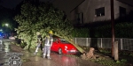 2017-08-10 - Impressionen Unwettereinsätze - Freiw. Feuerwehr Baden-Stadt - www.ffbs.at