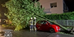 2017-08-10 - Impressionen Unwettereinsätze - Freiw. Feuerwehr Baden-Stadt - www.ffbs.at