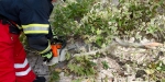 20170901 Sturmschaden Bundesreal-Gymnasium Frauengasse Foto: Manfred Mrvka / FF Baden-Stadt