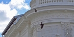 20200521 Entfernung eines Bienenschwarm in Badener Innenstadt