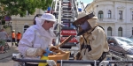 20200521 Entfernung eines Bienenschwarm in Badener Innenstadt