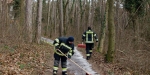 20201227 Ölspur im Waldgebiet von Baden