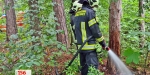 20210714 Beginnender Waldbrand in Baden