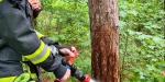 20210714 Beginnender Waldbrand in Baden