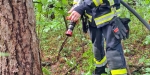 20210714 Beginnender Waldbrand in Baden