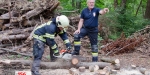 20210721 Ausbildung an der Motorkettensäge