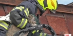20220320 Tierrettung in Baden