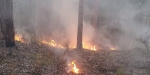 20220928 Waldbrand Baden Weikersdorf Jägerhaus Richtung Lindkogel