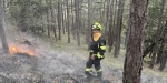 20220928 Waldbrand Baden Weikersdorf Jägerhaus Richtung Lindkogel