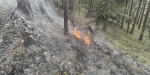 20220928 Waldbrand Baden Weikersdorf Jägerhaus Richtung Lindkogel