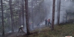 20220928 Waldbrand Baden Weikersdorf Jägerhaus Richtung Lindkogel