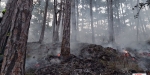 20220928 Waldbrand Baden Weikersdorf Jägerhaus Richtung Lindkogel