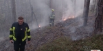 20220928 Waldbrand Baden Weikersdorf Jägerhaus Richtung Lindkogel