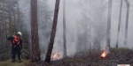 20220928 Waldbrand Baden Weikersdorf Jägerhaus Richtung Lindkogel