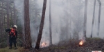 20220928 Waldbrand Baden Weikersdorf Jägerhaus Richtung Lindkogel