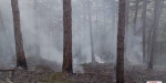 20220928 Waldbrand Baden Weikersdorf Jägerhaus Richtung Lindkogel