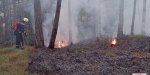 20220928 Waldbrand Baden Weikersdorf Jägerhaus Richtung Lindkogel