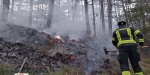 20220928 Waldbrand Baden Weikersdorf Jägerhaus Richtung Lindkogel