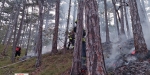 20220928 Waldbrand Baden Weikersdorf Jägerhaus Richtung Lindkogel