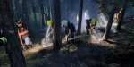 20220928 Waldbrand Baden Weikersdorf Jägerhaus Richtung Lindkogel