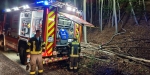 20220928 Waldbrand Baden Weikersdorf Jägerhaus Richtung Lindkogel