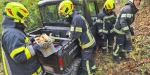 20221105 Fahrzeugbergung im Badener Kurpark