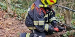 20221105 Fahrzeugbergung im Badener Kurpark