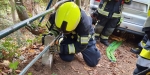 20221105 Fahrzeugbergung im Badener Kurpark