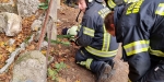 20221105 Fahrzeugbergung im Badener Kurpark