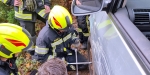 20221105 Fahrzeugbergung im Badener Kurpark