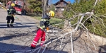 20230311 Sturmschaden in Baden