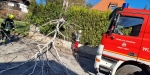 20230311 Sturmschaden in Baden