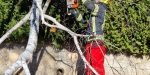 20230311 Sturmschaden in Baden