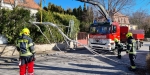 20230311 Sturmschaden in Baden