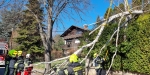 20230311 Sturmschaden in Baden
